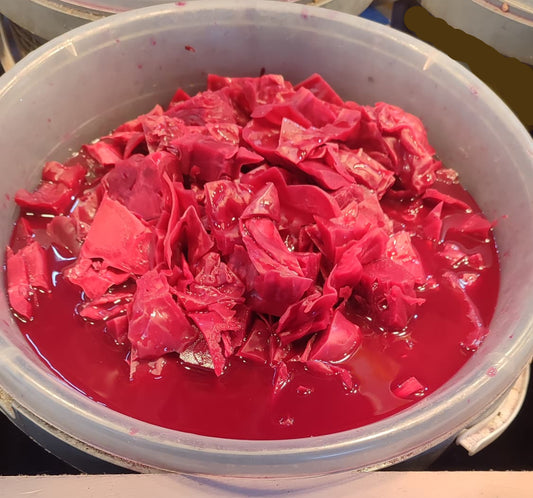 Kırmızı Lahana Turşusu