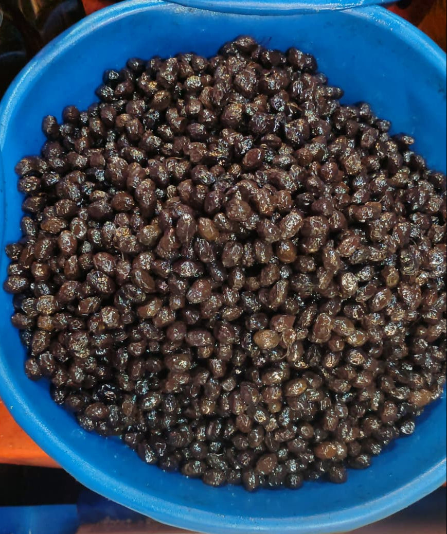 Tuzsuz Sele Yeni Zeytin