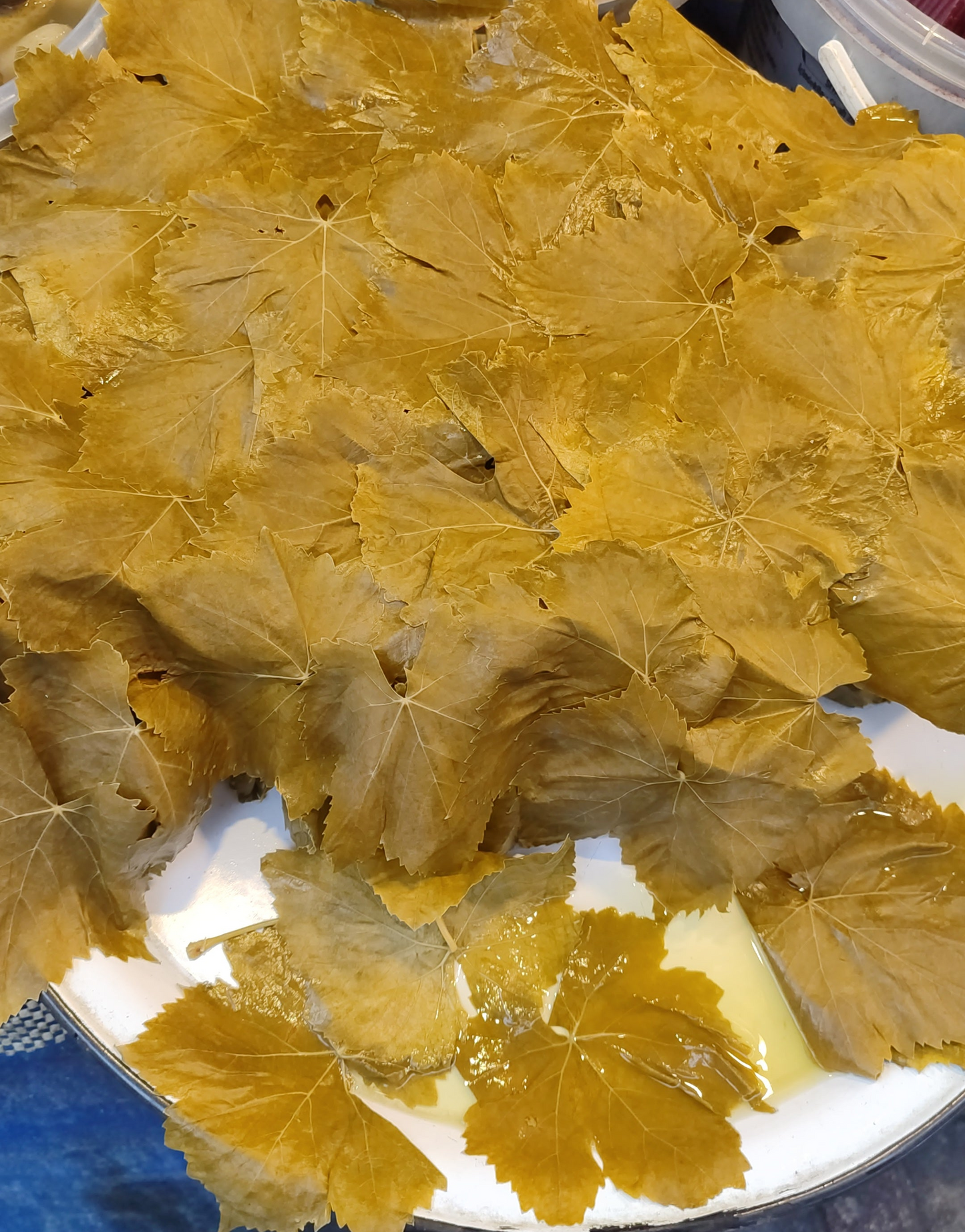 Çekirdeksiz Üzüm Yaprağı (ilk Hasat)