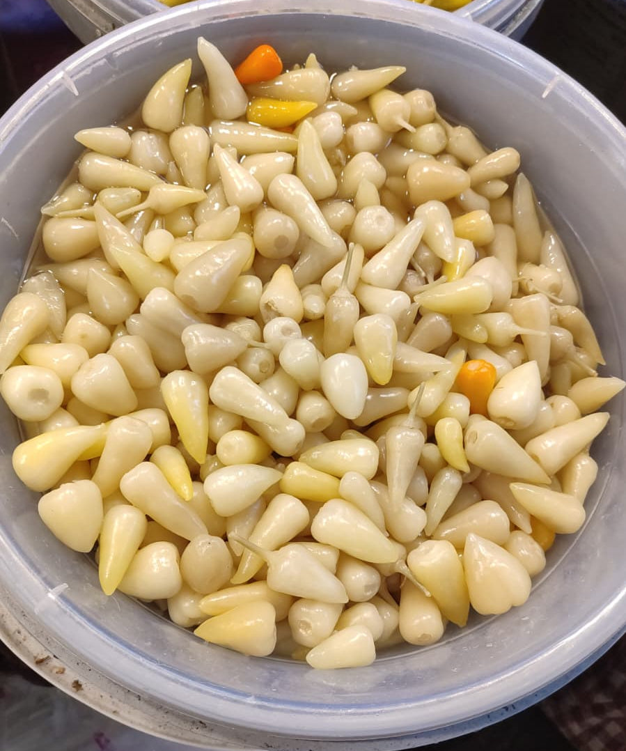 Antalya Biberi Turşusu