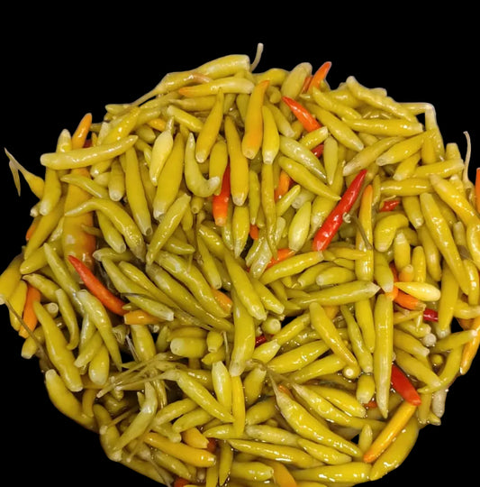 Kıl Biber (Acı) küçük