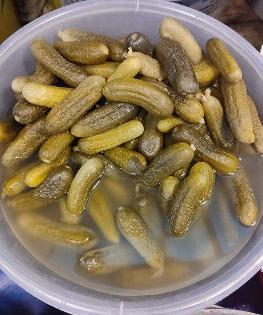 Kornişon (İri)Turşusu