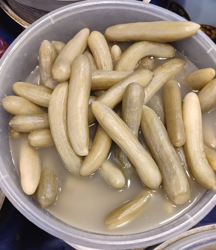 Ankara Çubuk Salata Turşusu